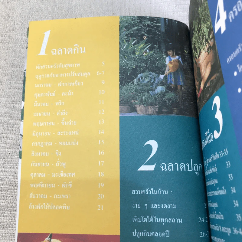 ฉลาดกิน ฉลาดปลูก สวนครัวสุขภาพ รูปที่ 5