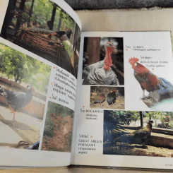 ชุดธรรมชาติและสิ่งแวดล้อม ฉบับเอ้ก อี๊ เอ้ก เอ้ก รูปที่ 11