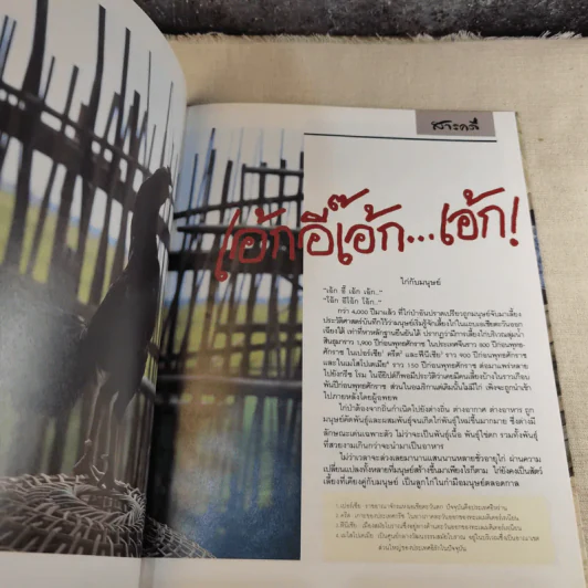 ชุดธรรมชาติและสิ่งแวดล้อม ฉบับเอ้ก อี๊ เอ้ก เอ้ก รูปที่ 10