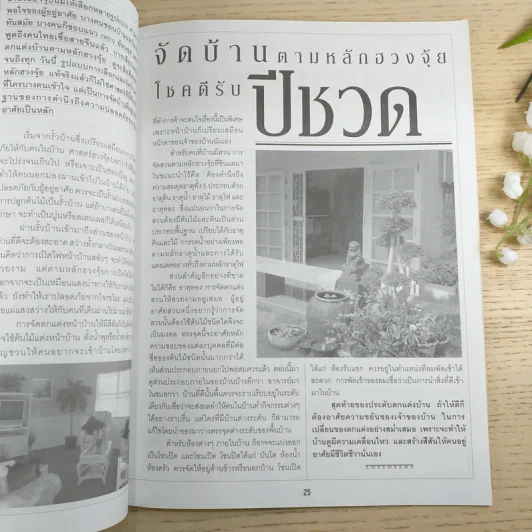 ฟ้าลิขิตโชคลาภ ฮวงจุ้ย รูปที่ 8