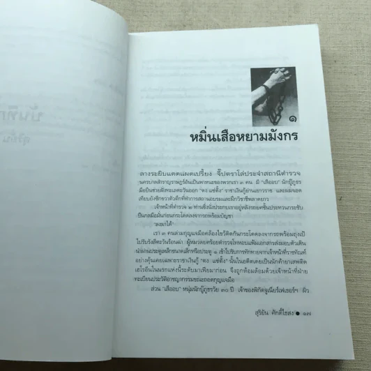 บันทึกเถื่อน - สุริยัน ศักดิ์ไธสง รูปที่ 11