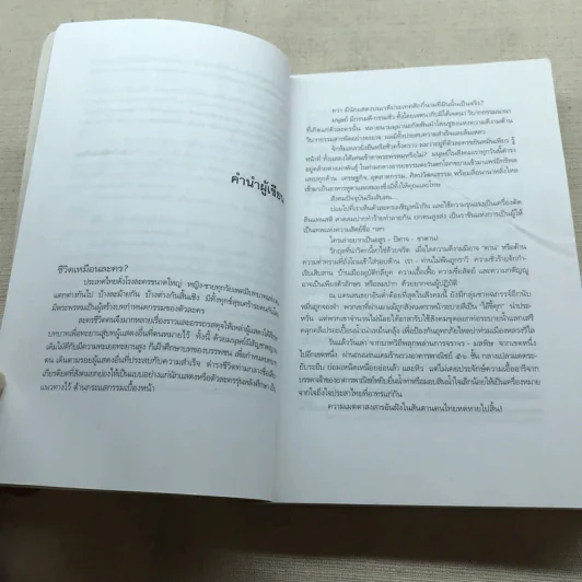 บันทึกเถื่อน - สุริยัน ศักดิ์ไธสง รูปที่ 8