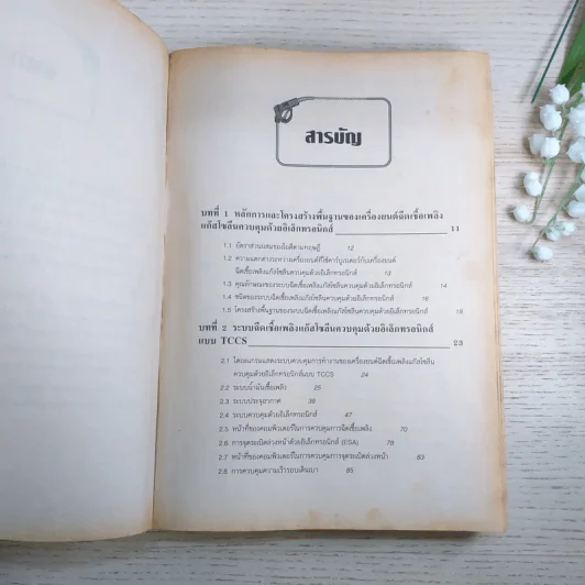ทฤษฎีและปฏิบัติ เครื่องยนต์ฉีดเชื้อเพลิงแก๊สโซลีน ควบคุมด้วยอิเล็กทรอนิกส์ รูปที่ 10