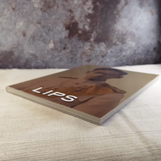LIPS กำสรวลสยาม 13 ต.ค.2559 ในหลวงร.9 รูปที่ 5