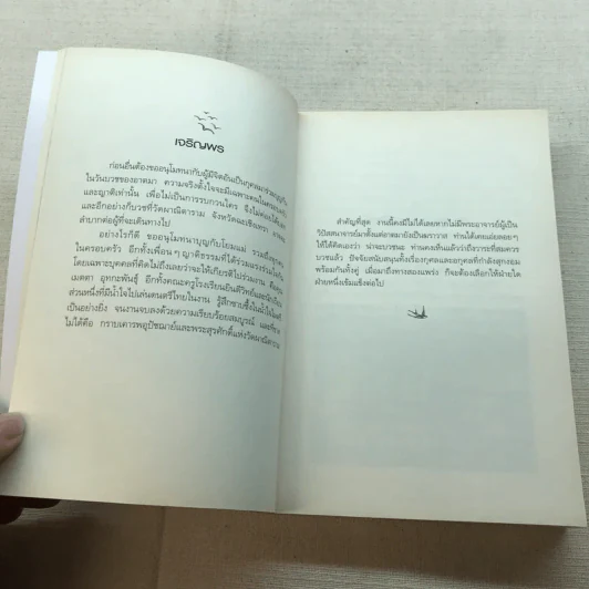ดูจิตหนึ่งพรรษา - ปัญญาวโรภิกขุ รูปที่ 9
