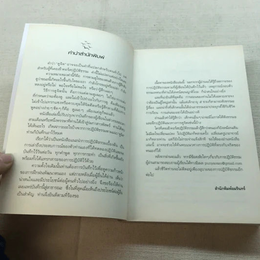 ดูจิตหนึ่งพรรษา - ปัญญาวโรภิกขุ รูปที่ 5