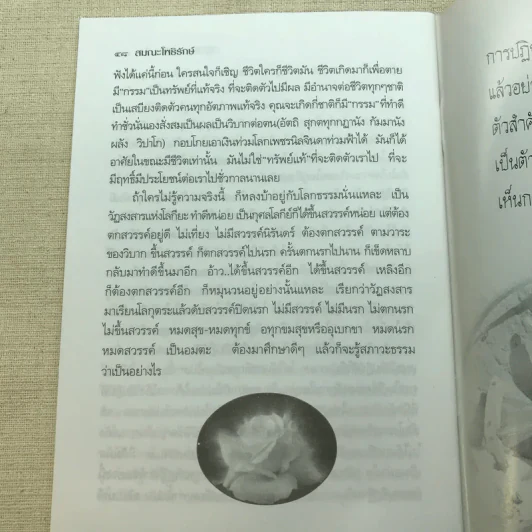 ปฏิบัติธรรมคืออะไร - สมณะโพธิรักษ์ รูปที่ 7