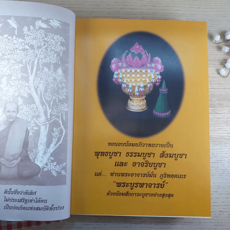 บูรพาจารย์ - ท่านพระอาจารย์มั่น ภูริทตตเถร รูปที่ 9
