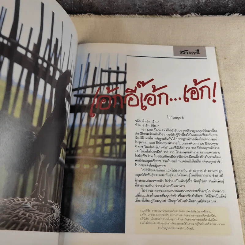 ชุดธรรมชาติและสิ่งแวดล้อม ฉบับเอ้ก อี๊ เอ้ก เอ้ก รูปที่ 10
