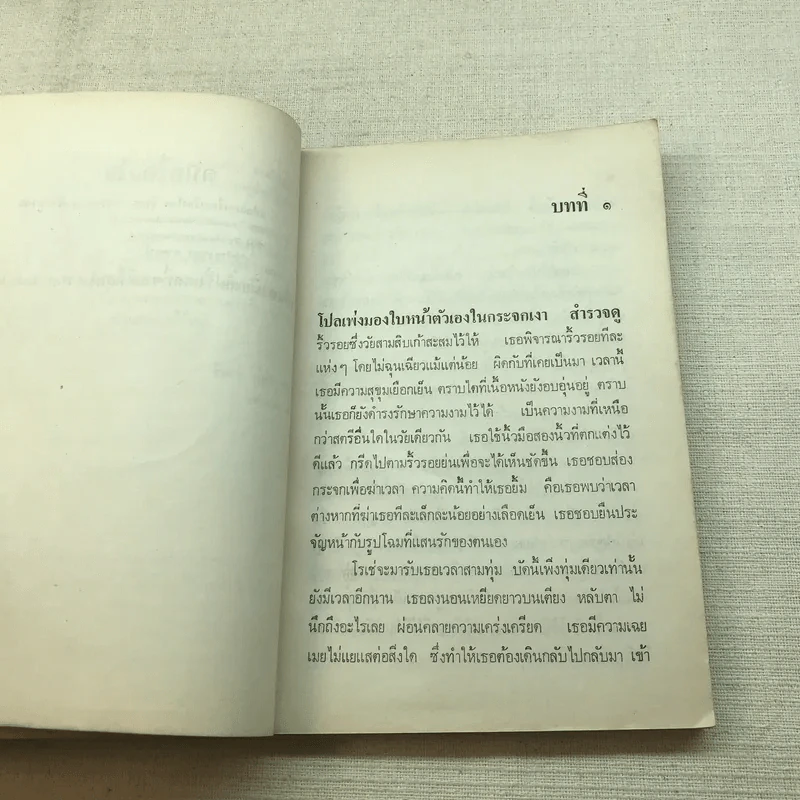 ดนตรีดลใจ - สิทธา (วัชโรทยาน) พินิจภูวดล รูปที่ 9