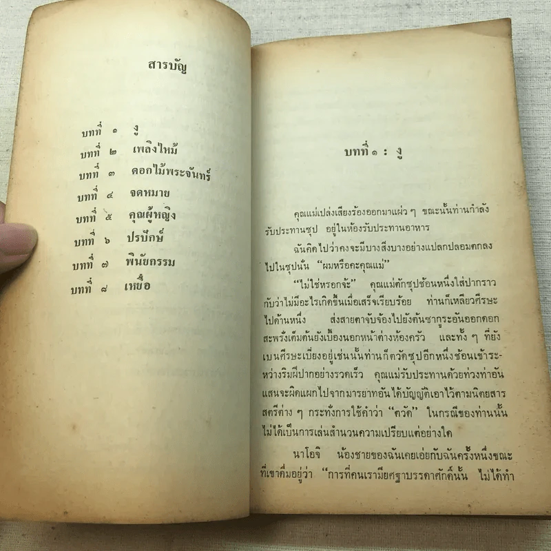 อาทิตย์ลับฟ้า - ดาไซ โอซามุ รูปที่ 18