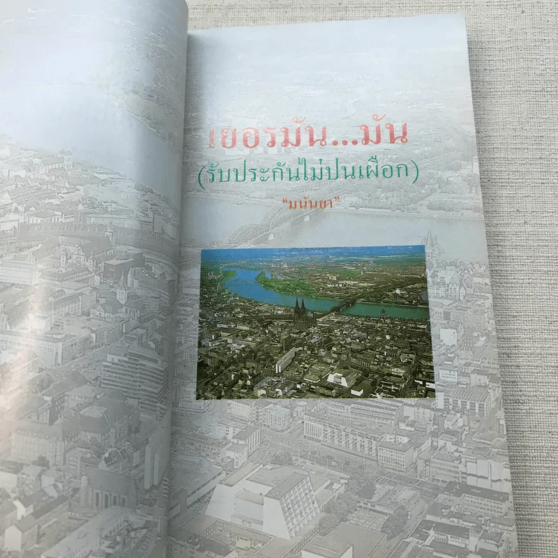 เยอรมันมัน (รับประกันไม่ปนเผือก) - มนันยา รูปที่ 5