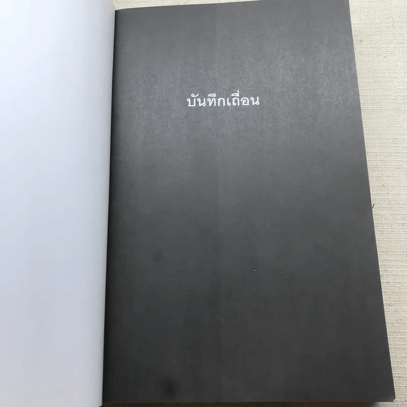 บันทึกเถื่อน - สุริยัน ศักดิ์ไธสง รูปที่ 4