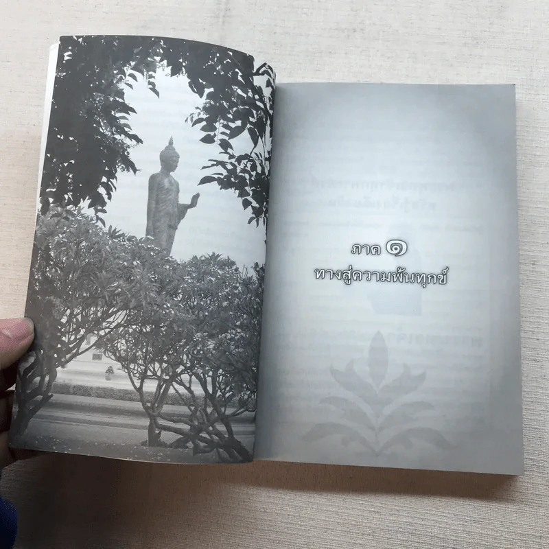นิพพานชั่วพริบตา - ประเสริฐ อุทัยเฉลิม รูปที่ 10