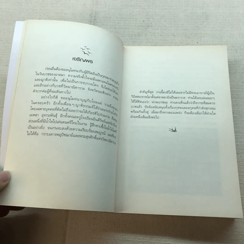 ดูจิตหนึ่งพรรษา - ปัญญาวโรภิกขุ รูปที่ 9