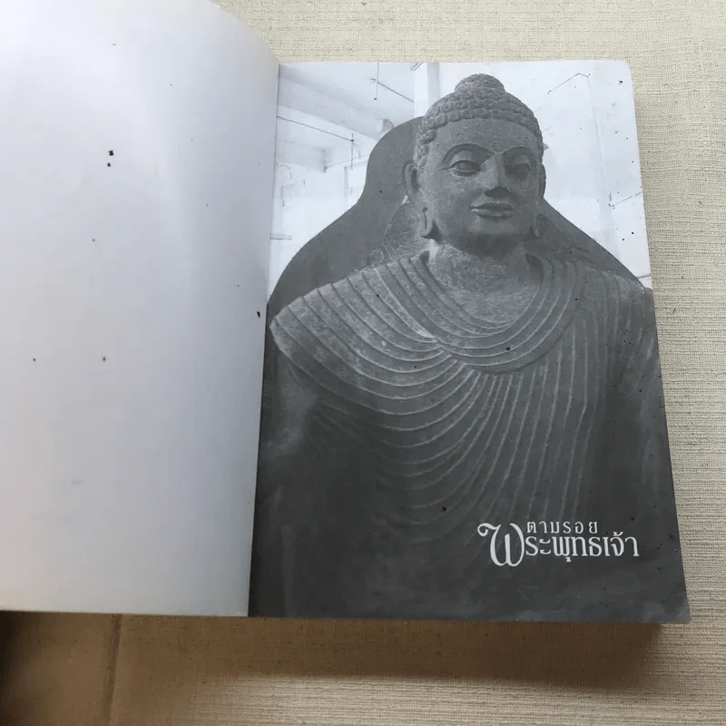 ตามรอยพระพุทธเจ้า - ลักษณา จีระจันทร์ รูปที่ 4