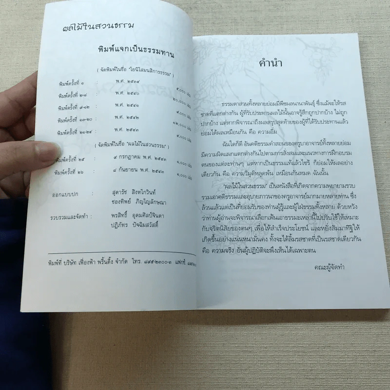 ผลไม้ในสวนธรรม รูปที่ 5