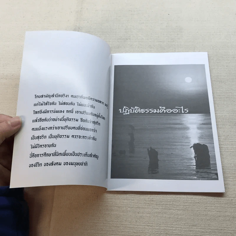 ปฏิบัติธรรมคืออะไร - สมณะโพธิรักษ์ รูปที่ 4