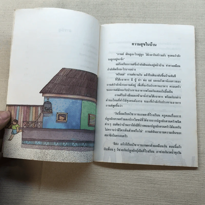 ปลูกผักสวนครัวหัวใจชื่นบาน หนังสืออ่านเพิ่มเติม ชั้นป.3-4 รูปที่ 8