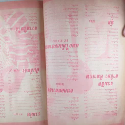 พจนานุกรมเพลงประทับใจ ฉบับพิเศษ รูปที่ 18