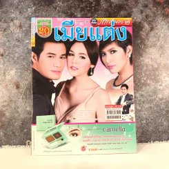 เมียแต่ง เรื่องย่อละคร ภาพยนตร์บันเทิง รูปที่ 1