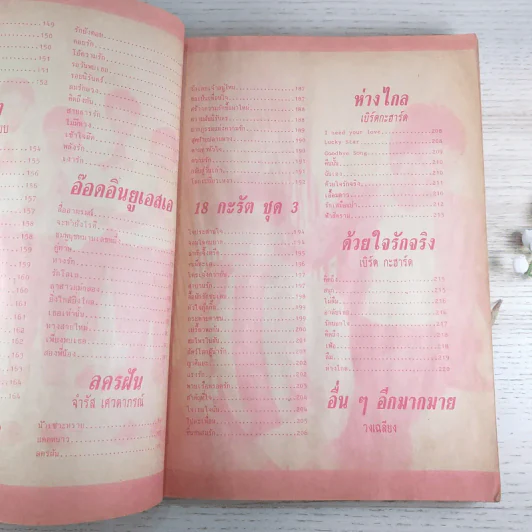 พจนานุกรมเพลงประทับใจ ฉบับพิเศษ รูปที่ 13