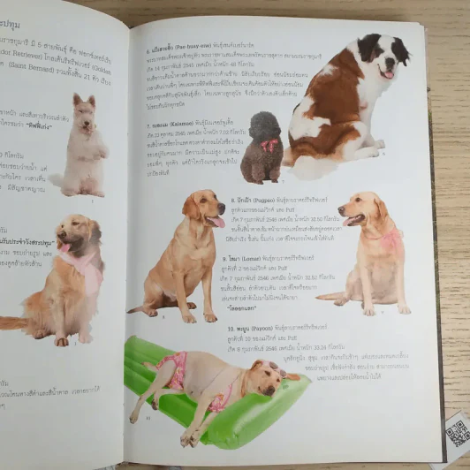 สัตว์เลี้ยงวังสระปทุม Diary 2549/2006 - สิรินธร รูปที่ 10