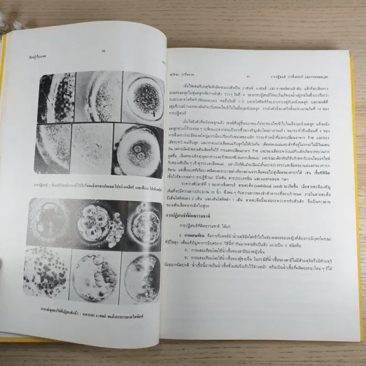 เรียนรู้เรื่องเพศ - เอนก & สุวัทนา อารีพรรค รูปที่ 11
