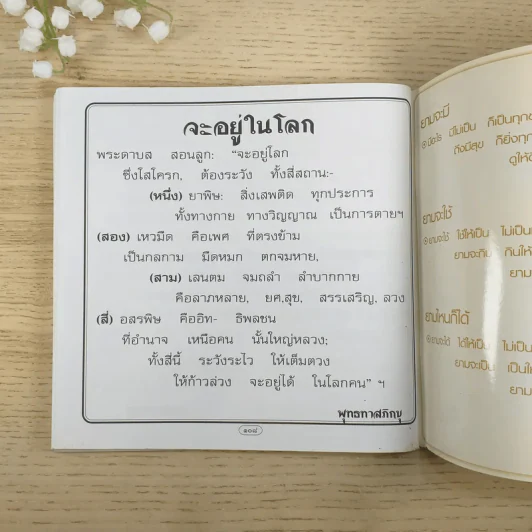ศิลปะสำหรับการมีชีวิตอยู่บนโลก ศิลปะของการดับทุกข์ รูปที่ 9