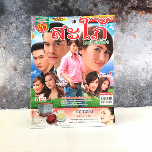สะใภ้ไกลปืนเที่ยง เรื่องย่อละคร ภาพยนตร์บันเทิง รูปที่ 1