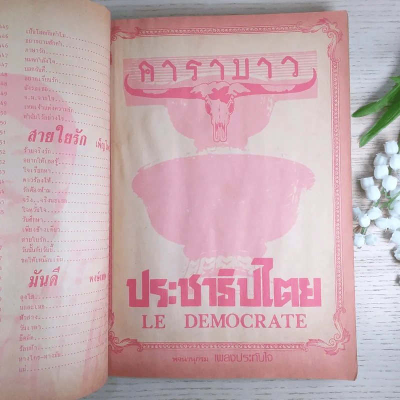 พจนานุกรมเพลงประทับใจ ฉบับพิเศษ รูปที่ 21
