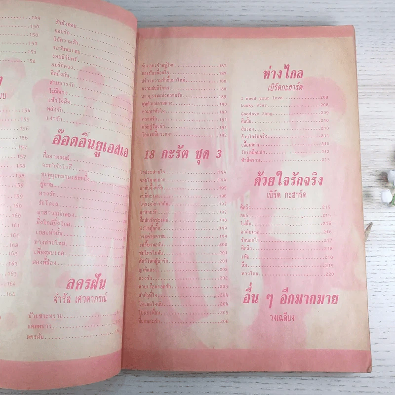 พจนานุกรมเพลงประทับใจ ฉบับพิเศษ รูปที่ 13