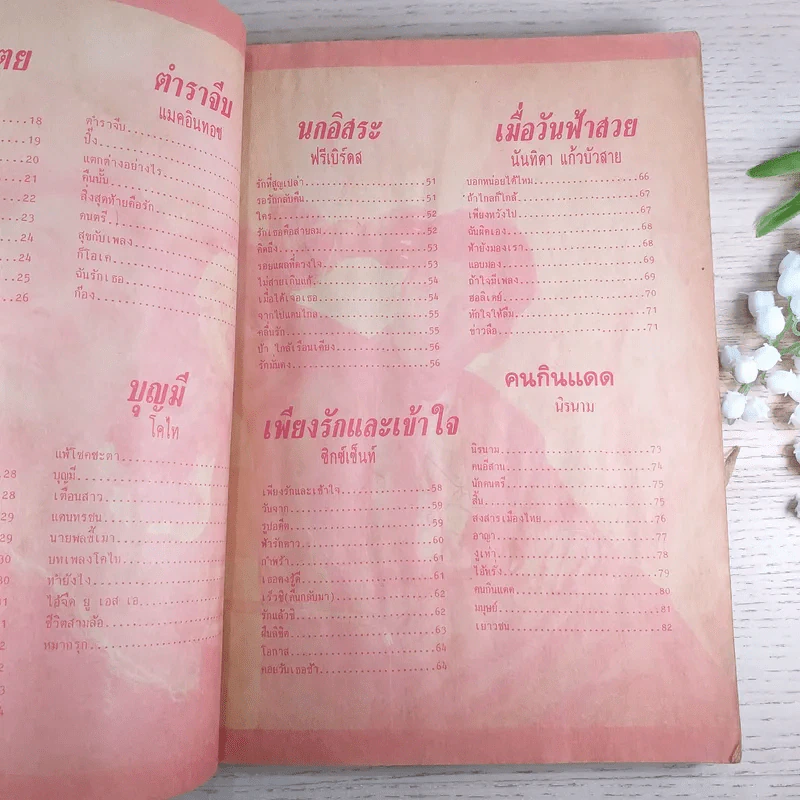 พจนานุกรมเพลงประทับใจ ฉบับพิเศษ รูปที่ 9