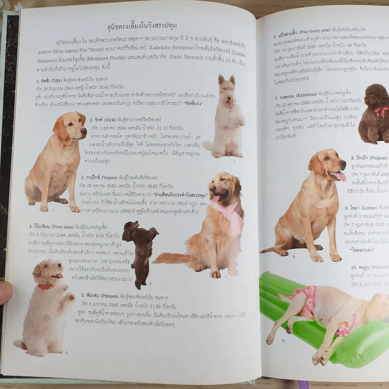 สัตว์เลี้ยงวังสระปทุม Diary 2549/2006 - สิรินธร รูปที่ 9
