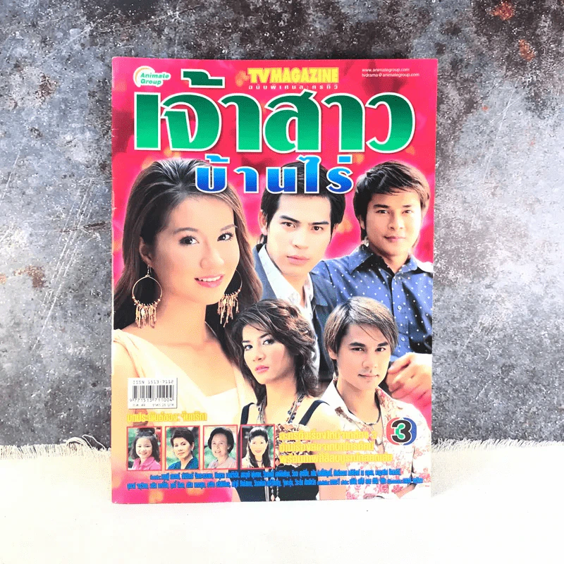 เจ้าสาวบ้านไร่ (ปอ ทฤษฎี) เรื่องย่อละคร ทีวีแม็กกาซีน รูปที่ 1