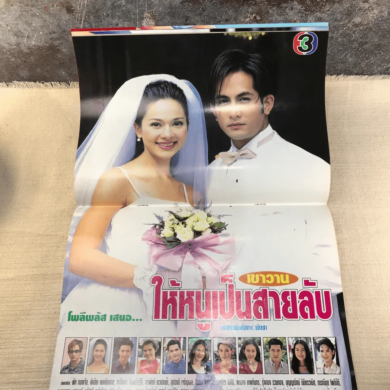 เขาวานให้หนูเป็นสายลับ เรื่องย่อละคร ทีวีแม็กกาซีน รูปที่ 7
