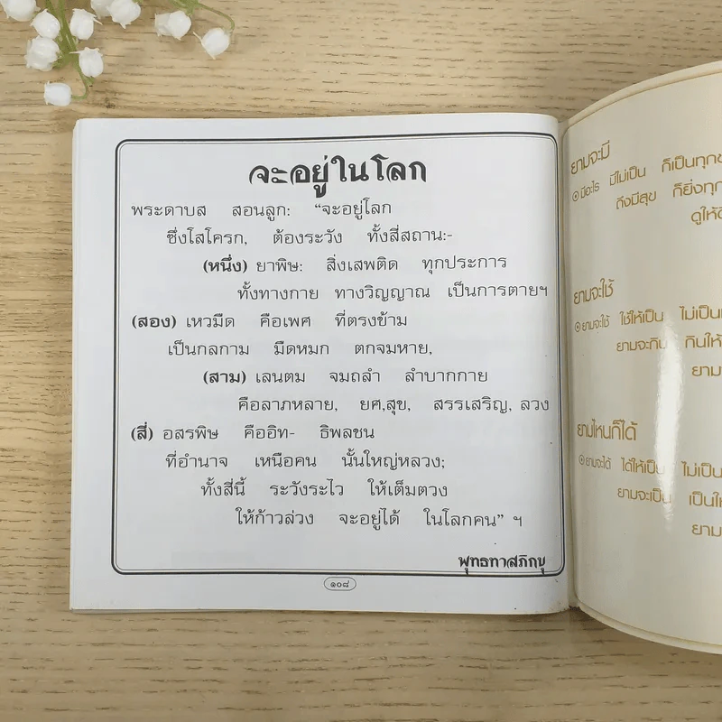 ศิลปะสำหรับการมีชีวิตอยู่บนโลก ศิลปะของการดับทุกข์ รูปที่ 9