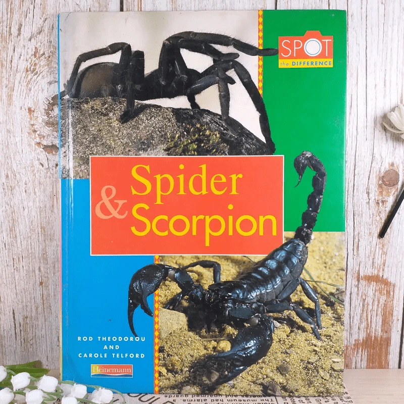 Spider & Scorpion รูปที่ 1