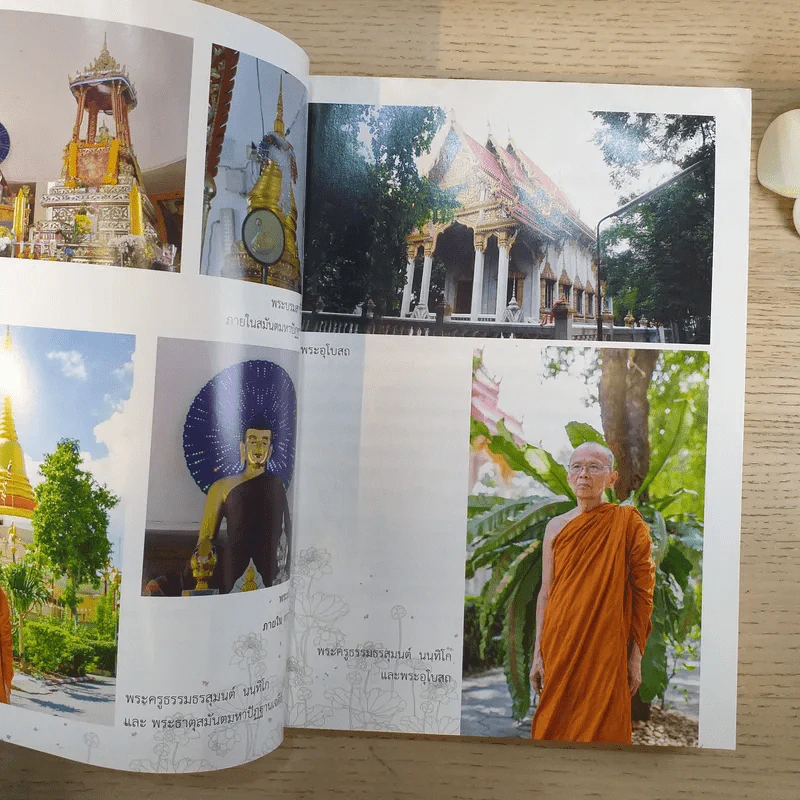 พระพุทธประวัติถวายเป็นอาจาริยบูชา แด่ พระครูธรรมธรสุมนต์ นนทิโก รูปที่ 8