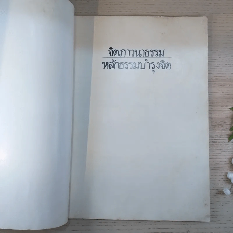 จิตภาวนาธรรม หลักธรรมบำรุงจิต รูปที่ 7