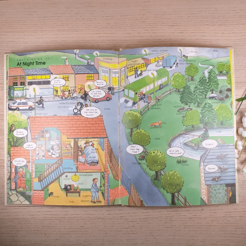 In the Picture a First Word Book รูปที่ 10