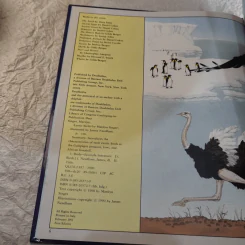 Exotic Bird - Marilyn Singer รูปที่ 9