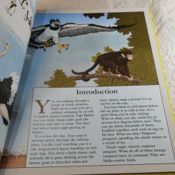 Exotic Bird - Marilyn Singer รูปที่ 10