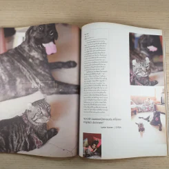 a day ปีที่ 13 ฉบับ 152 เม.ย.2556 ซีซาร์ รูปที่ 12