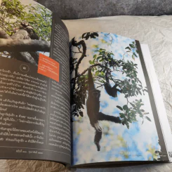 Feature Magazine สารคดี ฉบับที่ 300 พระอาจารย์มั่น ภูริทัตโต รูปที่ 15