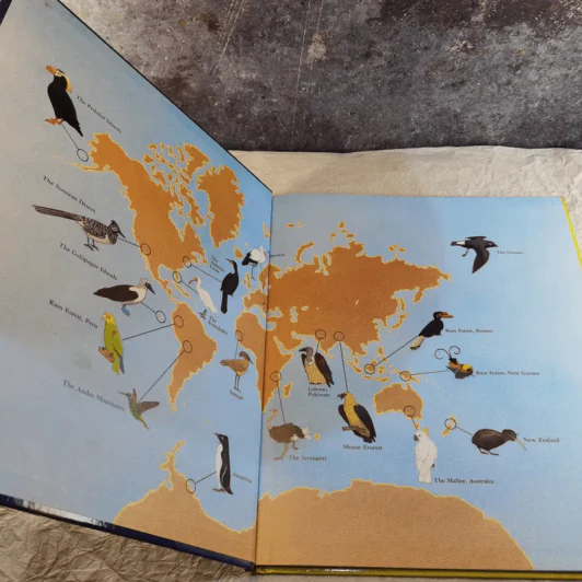 Exotic Bird - Marilyn Singer รูปที่ 7