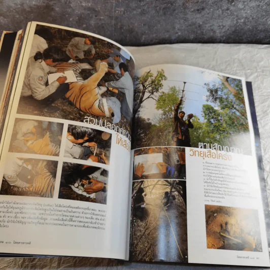 Feature Magazine สารคดี ฉบับที่ 248 ปีที่ 21 ต.ค.2548 หยกน้ำในกระแสธาร คนเล็กๆในเหตุการณ์ 14 ตุลา 16 รูปที่ 12
