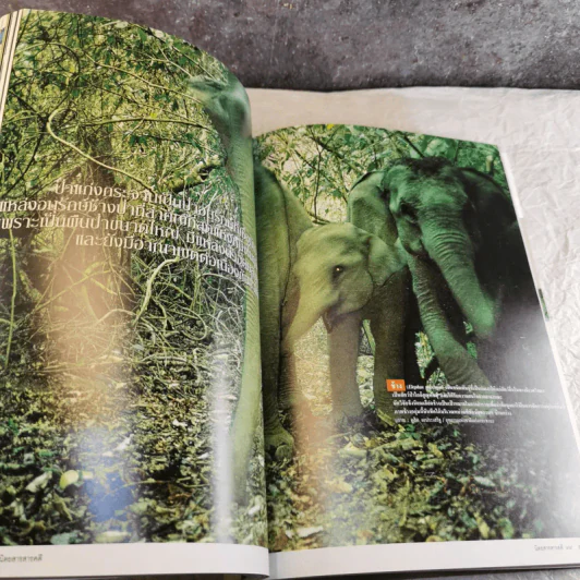 Feature Magazine สารคดี ฉบับที่ 264 ความลับของนางรำระบำหน้าท้อง รูปที่ 11