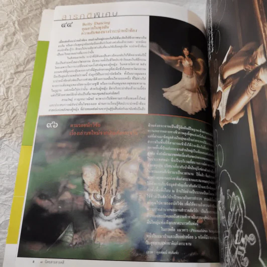 Feature Magazine สารคดี ฉบับที่ 264 ความลับของนางรำระบำหน้าท้อง รูปที่ 9
