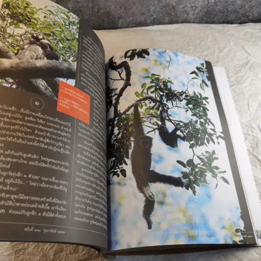Feature Magazine สารคดี ฉบับที่ 300 พระอาจารย์มั่น ภูริทัตโต รูปที่ 15